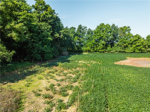 Vacant Land For Sale - Perry Road<br/> Centerburg, OH 43011