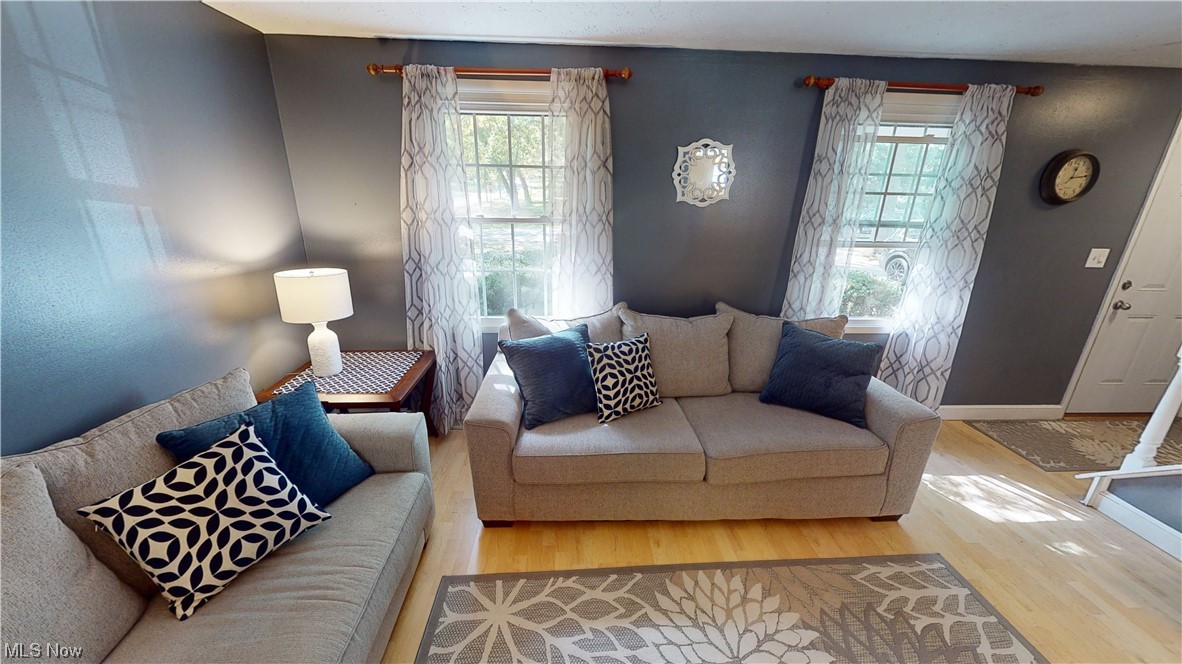 Silver Lake Little Farms - Residential