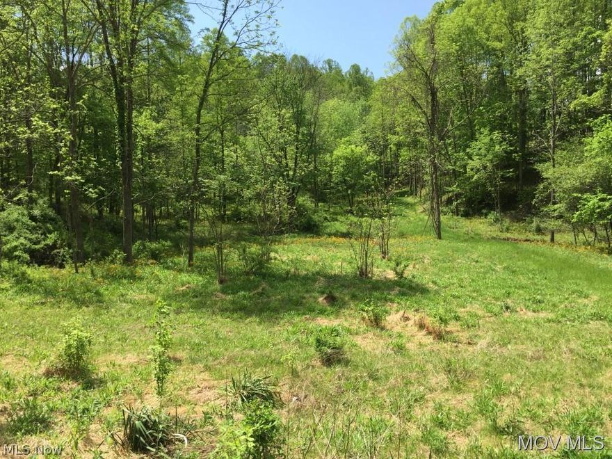 60 acres of Hunting and recreational land easily accessible just 1/10 mile off Rt. 47 on Gravel county maintained road in Ritchie County.  Elem: Smithville Elementary School  Elem/Bus: Y  JrHigh: Ritchie County Middle School  JrHigh/Bus: Y  High: Ritchie Cty. High  High/Bus: Y  Fire: VOL  Police: SHF