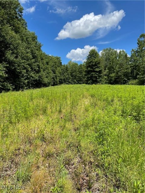 Vacant Land For Sale - Cowley Road<br/> Columbia Station, OH 44028