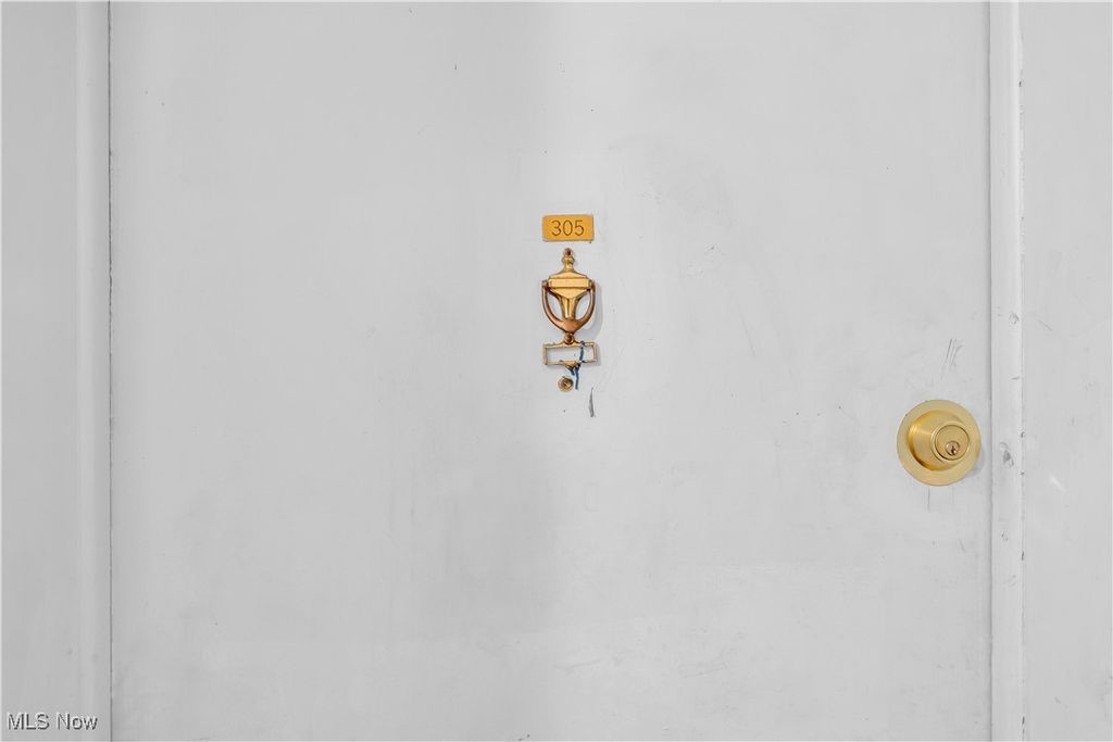 Photo of 1415 Wyandotte Avenue #305, Lakewood, OH 44107 (MLS # 5174334)