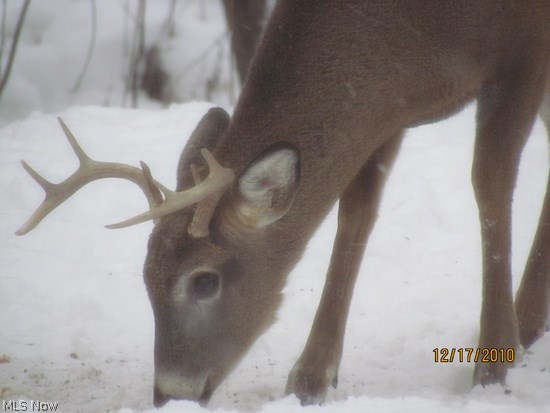 Rolling Brooke Sub Ph 1 - Residential