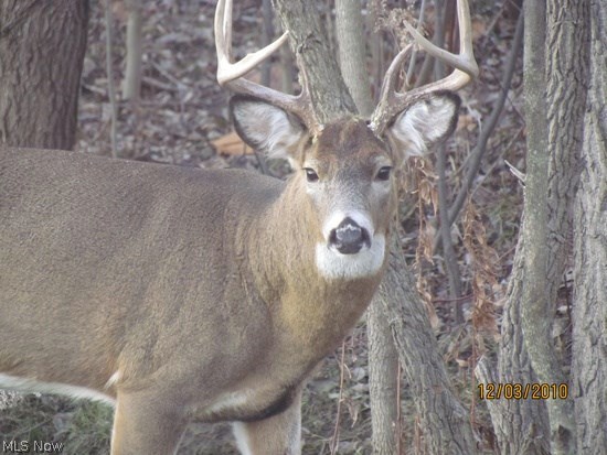 Rolling Brooke Sub Ph 1 - Residential