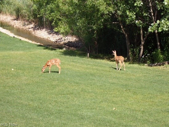 Rolling Brooke Sub Ph 1 - Residential