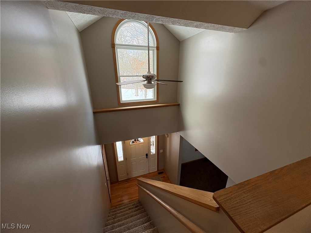 Bett Marr - Residential