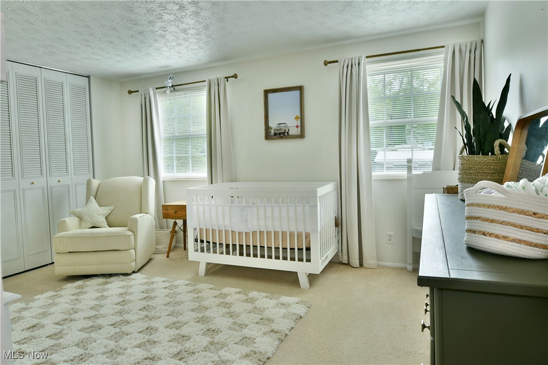 394 Stahl Avenue, Cortland, Ohio image 33