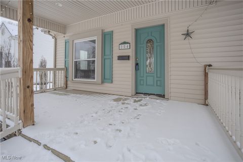 Tiny photo for 254 Tyler Avenue, Cuyahoga Falls, OH 44221 (MLS # 5178589)
