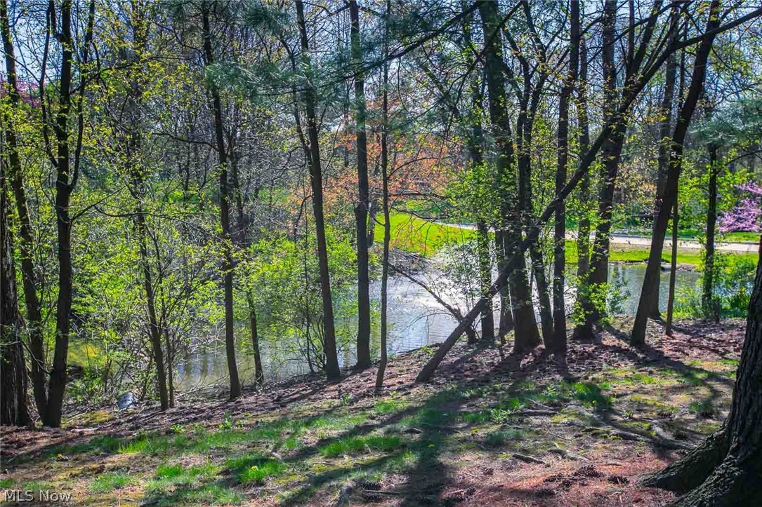 Hampton Woods - Residential