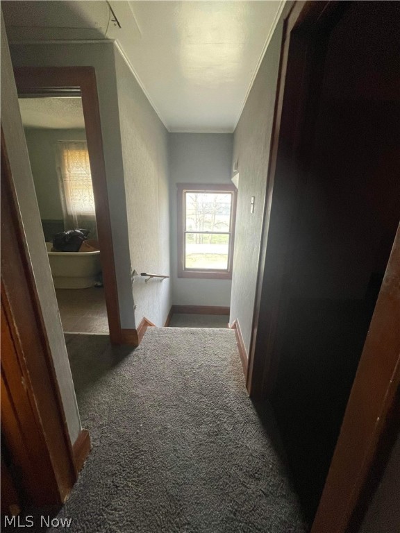 Randolph - Residential