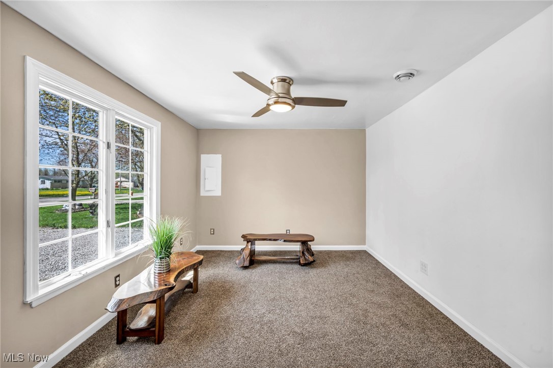 162 E Hamilton Street, Oberlin, Ohio image 10