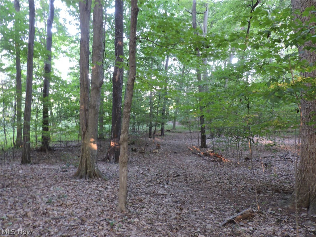 Hendrickson 01 - Residential