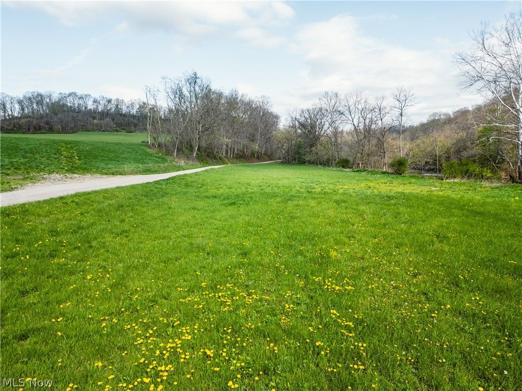 Photo of 0 E Captina Highway Road, Alledonia, OH 43902 (MLS # 5206040)