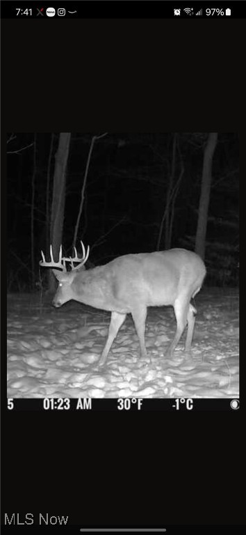 13651 16, Conesville, Ohio image 19
