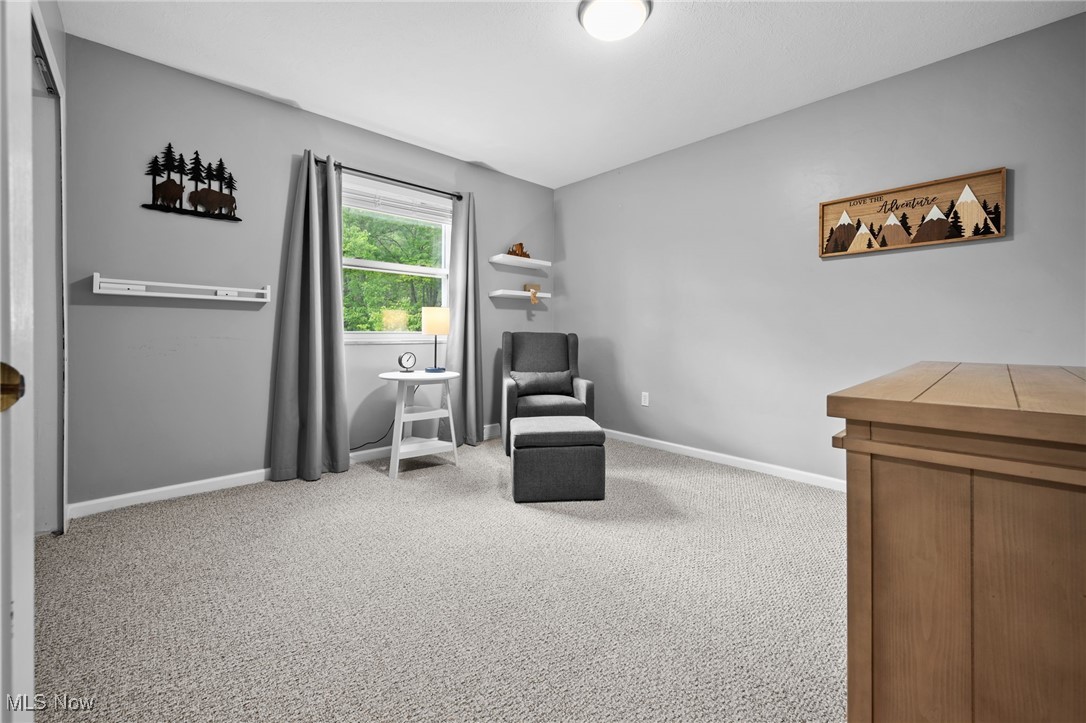 13990 Stoney Creek Drive, North Royalton, Ohio image 26