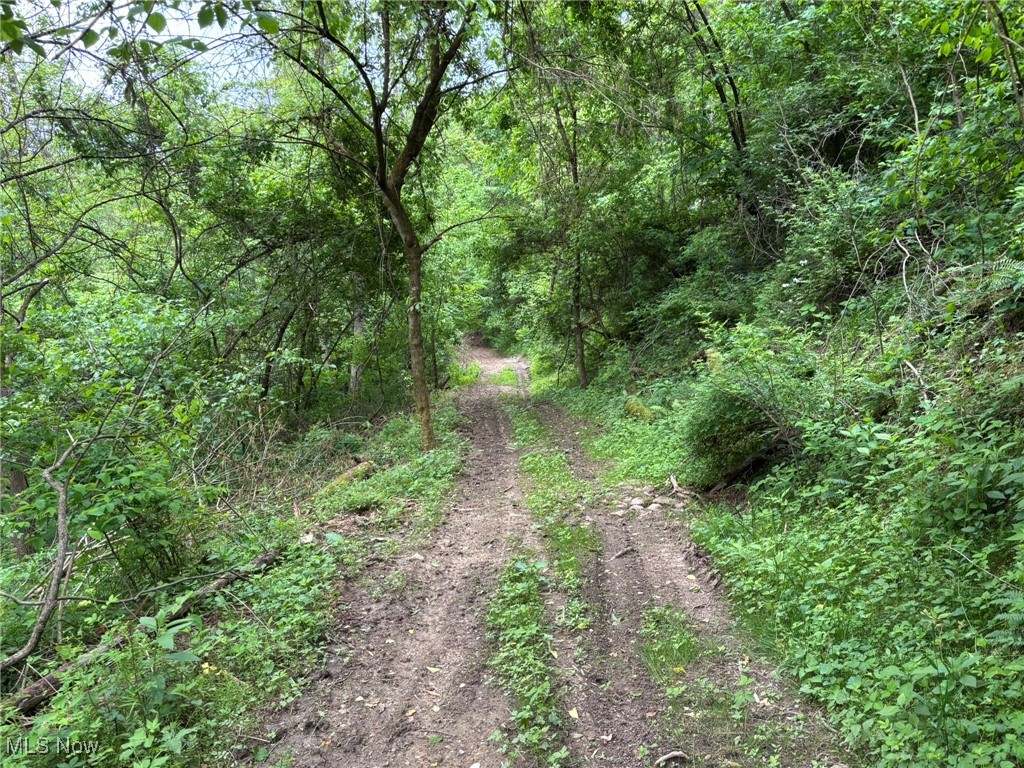 34215 Mt Hope Ridge Road, Graysville, Ohio image 36