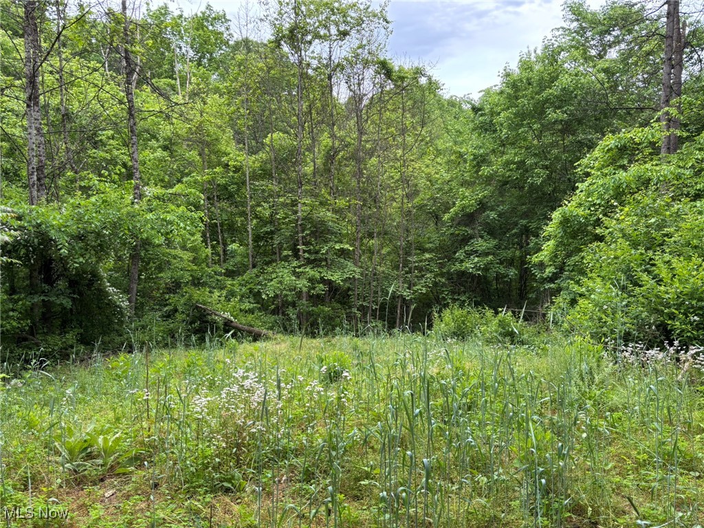 34215 Mt Hope Ridge Road, Graysville, Ohio image 37