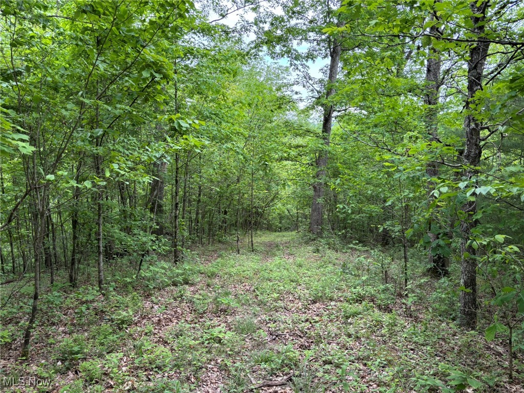 34215 Mt Hope Ridge Road, Graysville, Ohio image 45