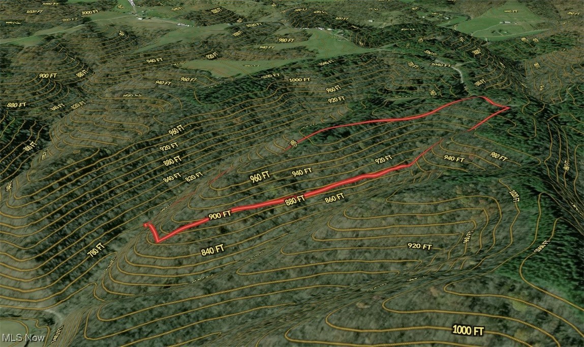 34215 Mt Hope Ridge Road, Graysville, Ohio image 15
