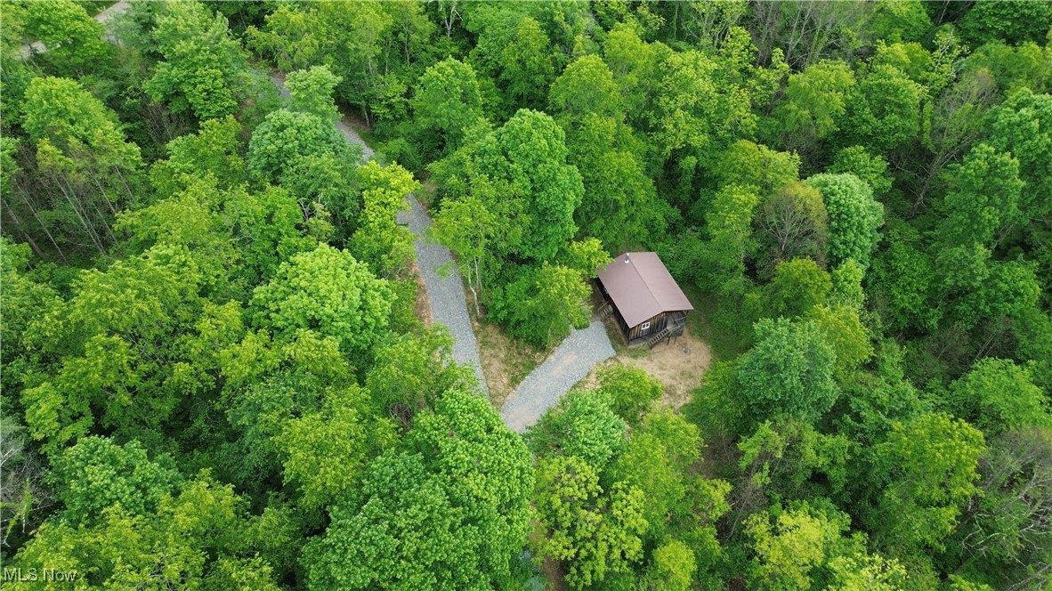 34215 Mt Hope Ridge Road, Graysville, Ohio image 4