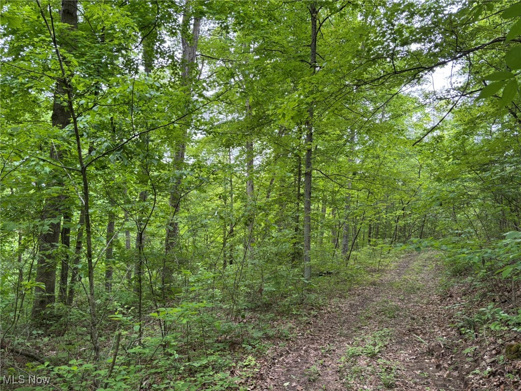 34215 Mt Hope Ridge Road, Graysville, Ohio image 43