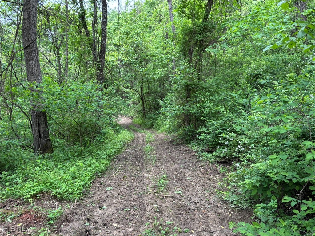 34215 Mt Hope Ridge Road, Graysville, Ohio image 35