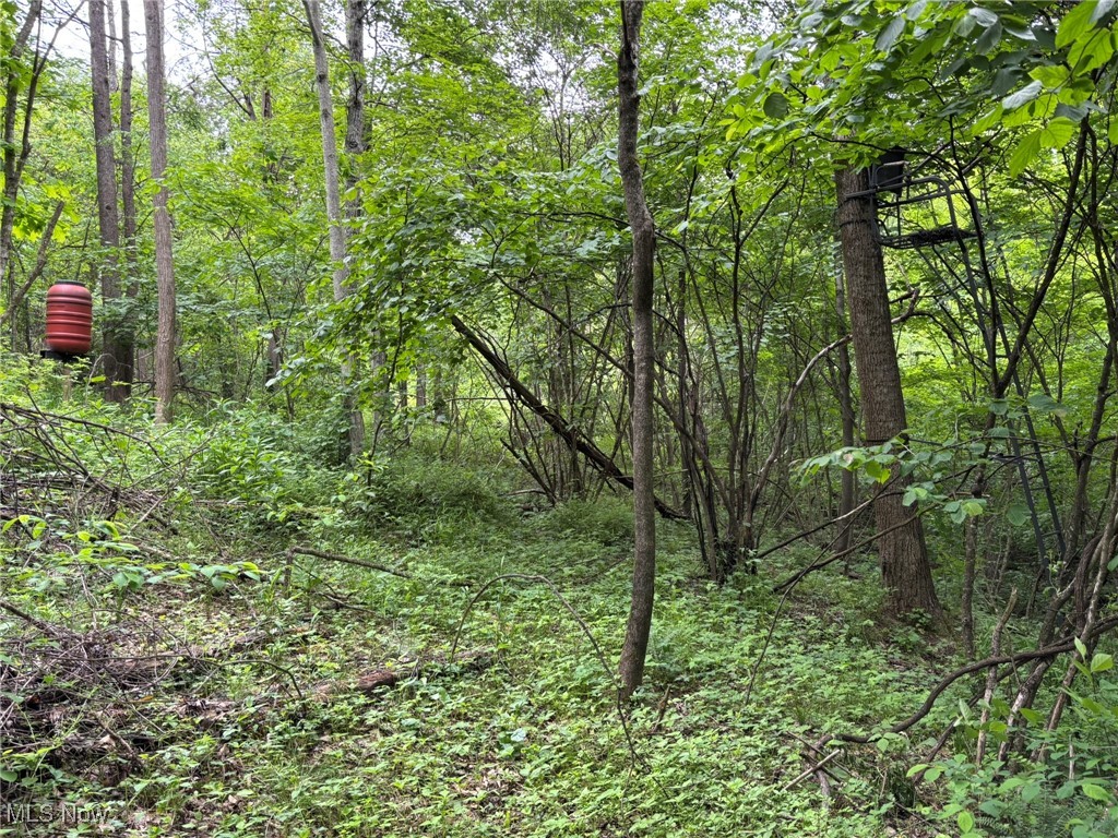 34215 Mt Hope Ridge Road, Graysville, Ohio image 40