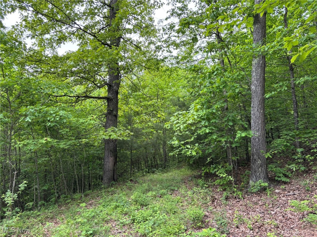 34215 Mt Hope Ridge Road, Graysville, Ohio image 7