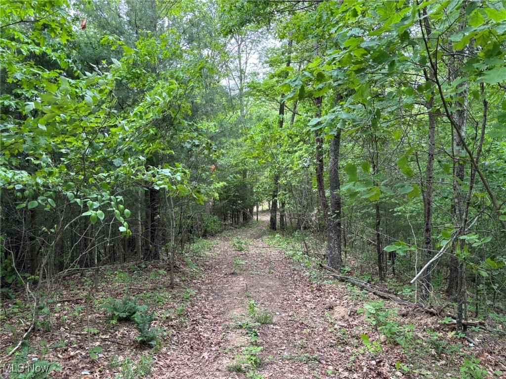 34215 Mt Hope Ridge Road, Graysville, Ohio image 47