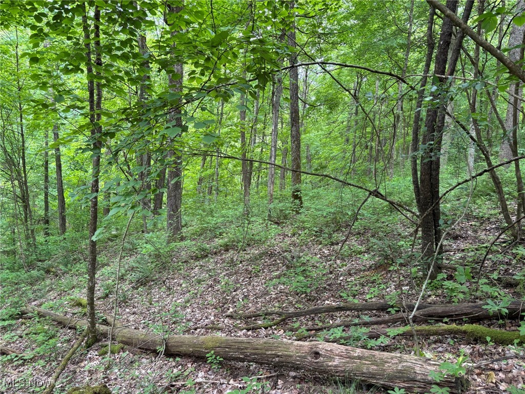 34215 Mt Hope Ridge Road, Graysville, Ohio image 38