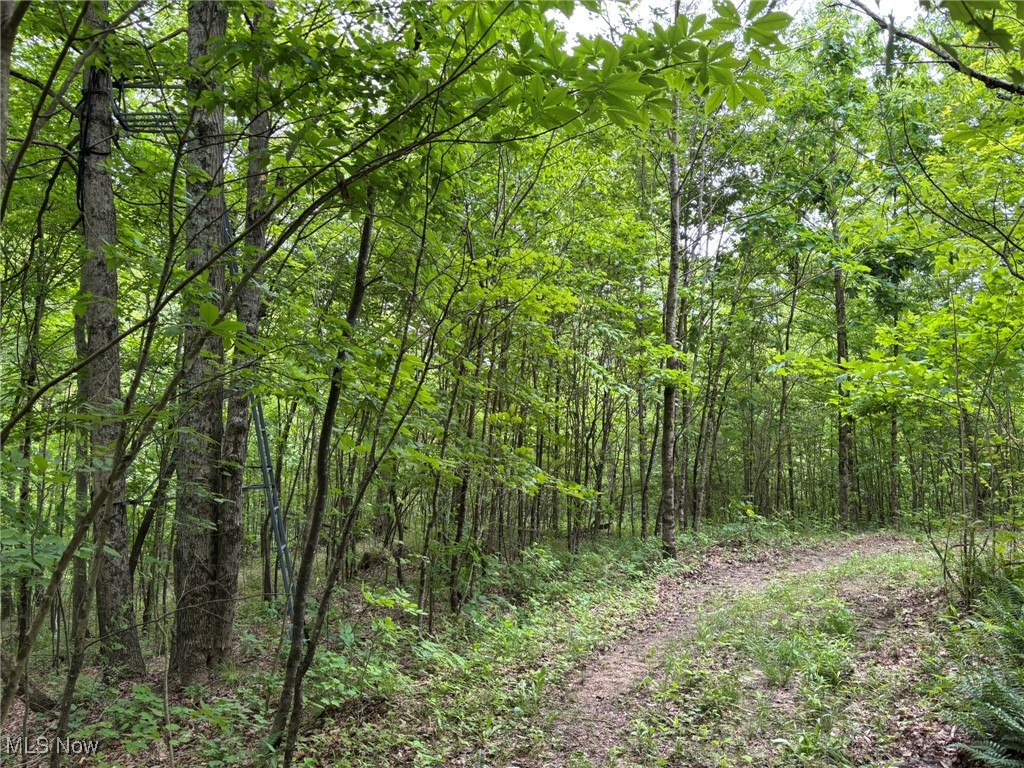 34215 Mt Hope Ridge Road, Graysville, Ohio image 44