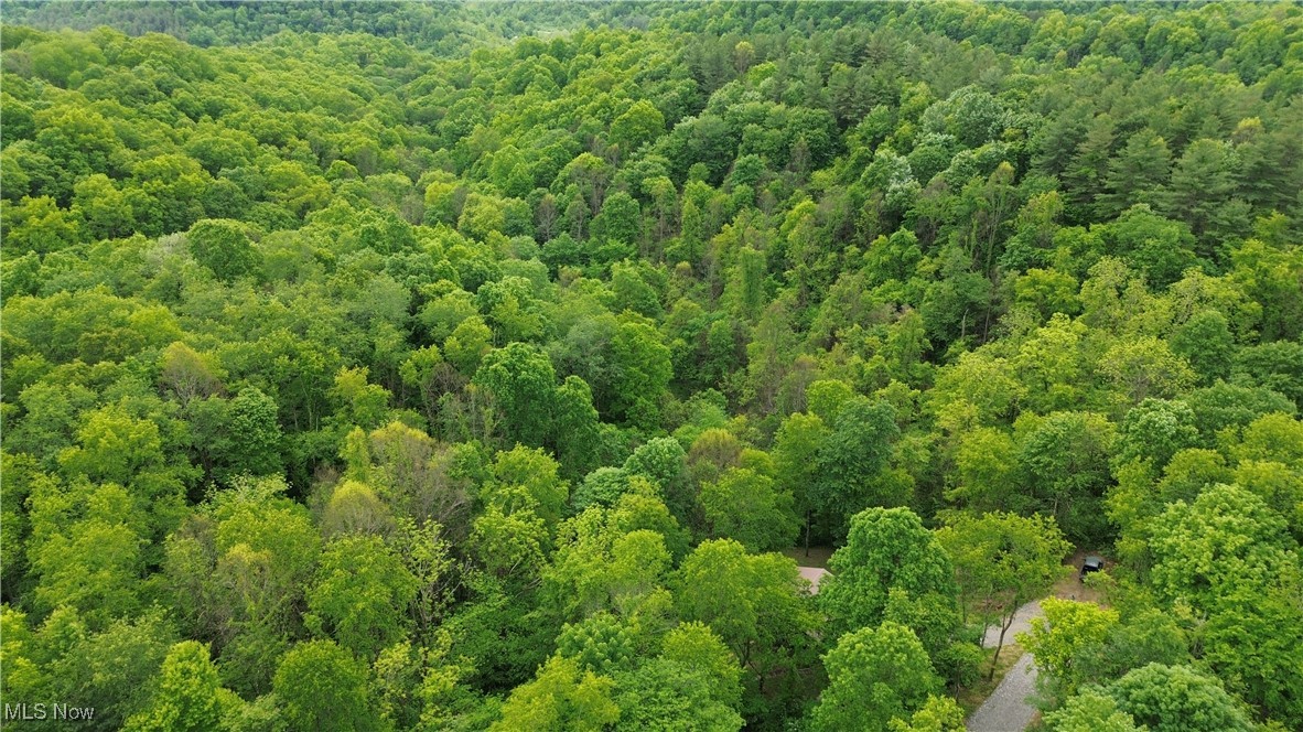 34215 Mt Hope Ridge Road, Graysville, Ohio image 18
