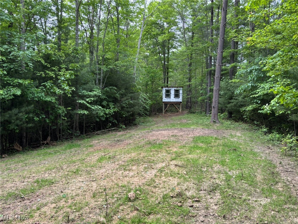 34215 Mt Hope Ridge Road, Graysville, Ohio image 8
