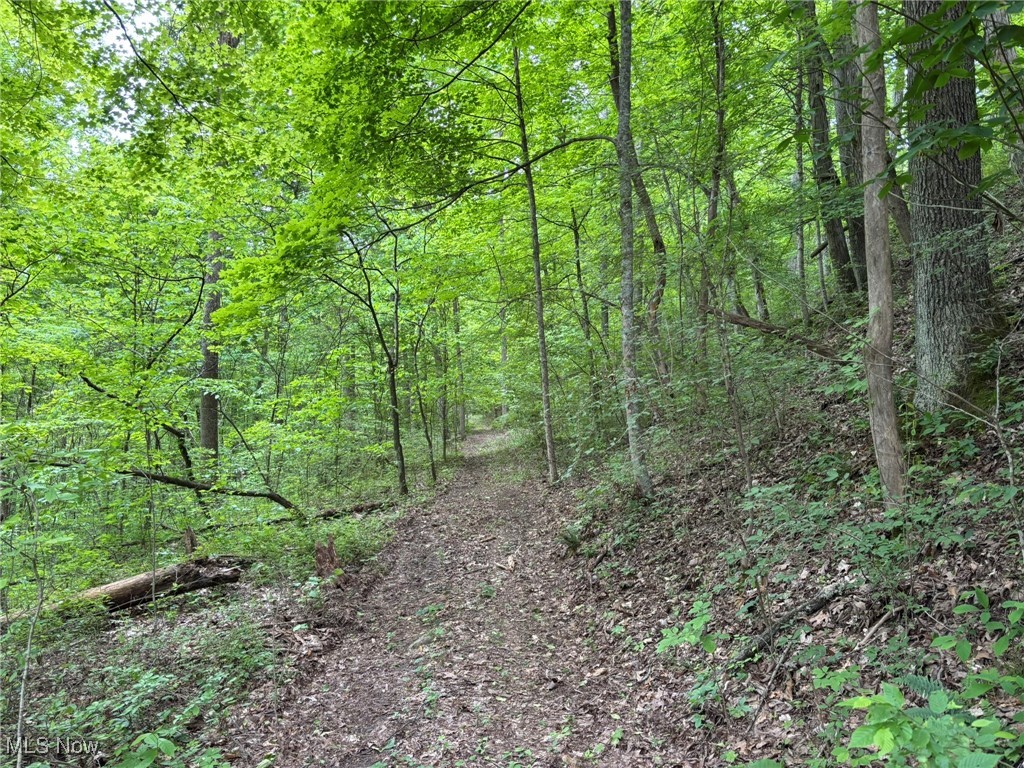 34215 Mt Hope Ridge Road, Graysville, Ohio image 5
