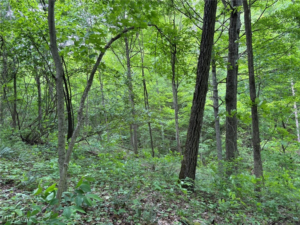 34215 Mt Hope Ridge Road, Graysville, Ohio image 39