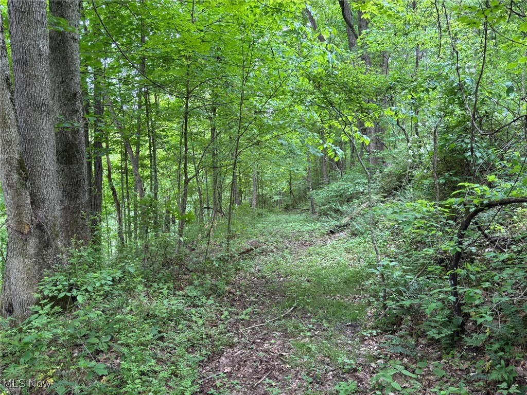 34215 Mt Hope Ridge Road, Graysville, Ohio image 41