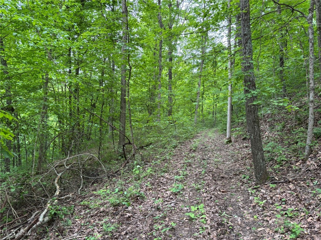 34215 Mt Hope Ridge Road, Graysville, Ohio image 42