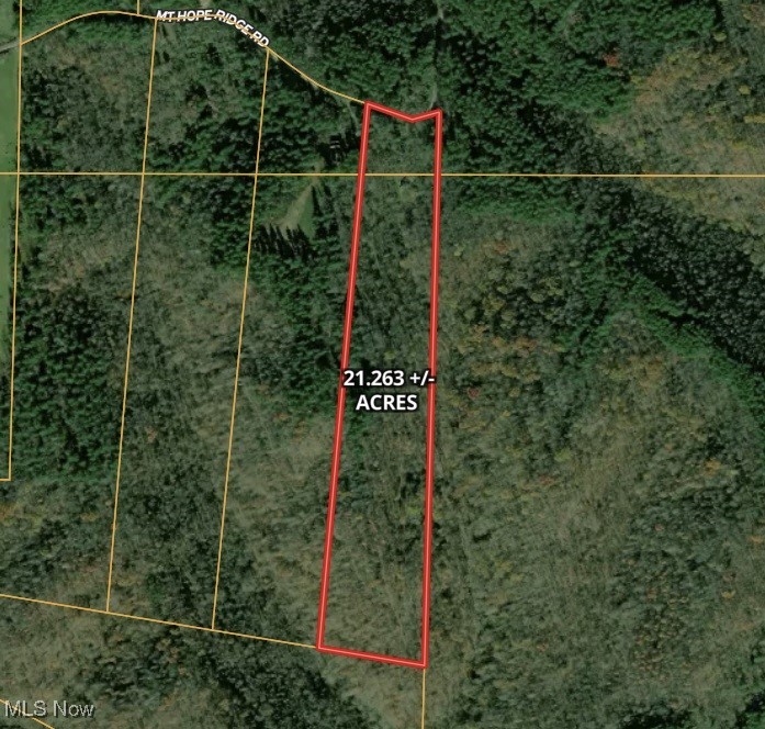 34215 Mt Hope Ridge Road, Graysville, Ohio image 13