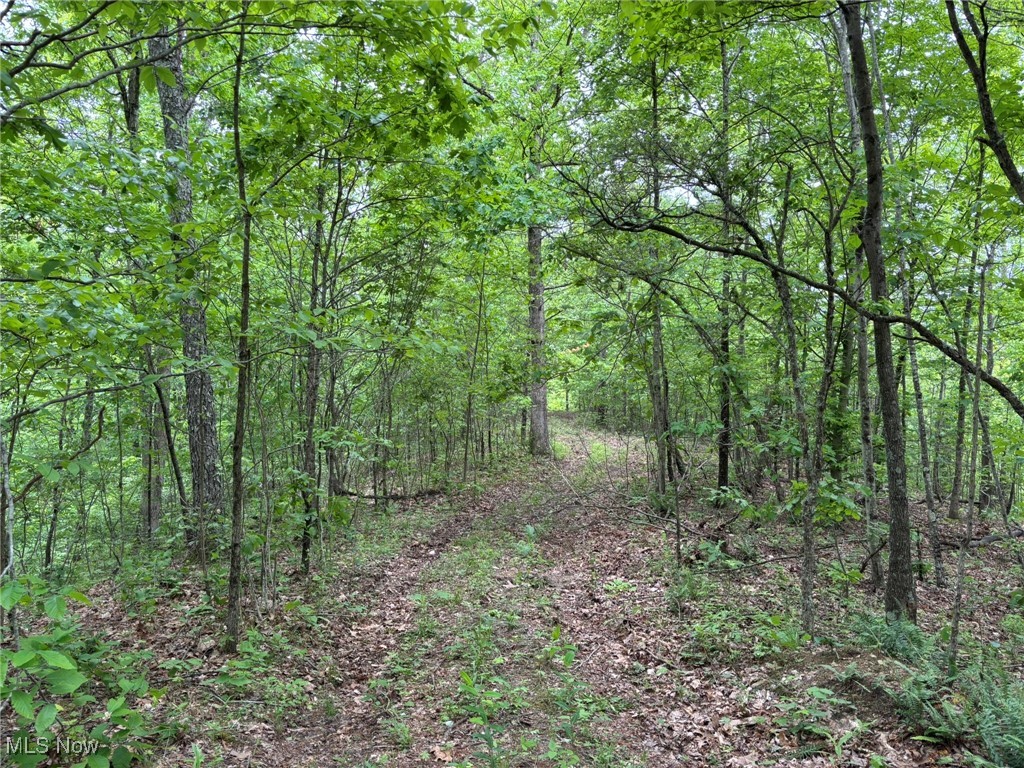 34215 Mt Hope Ridge Road, Graysville, Ohio image 46