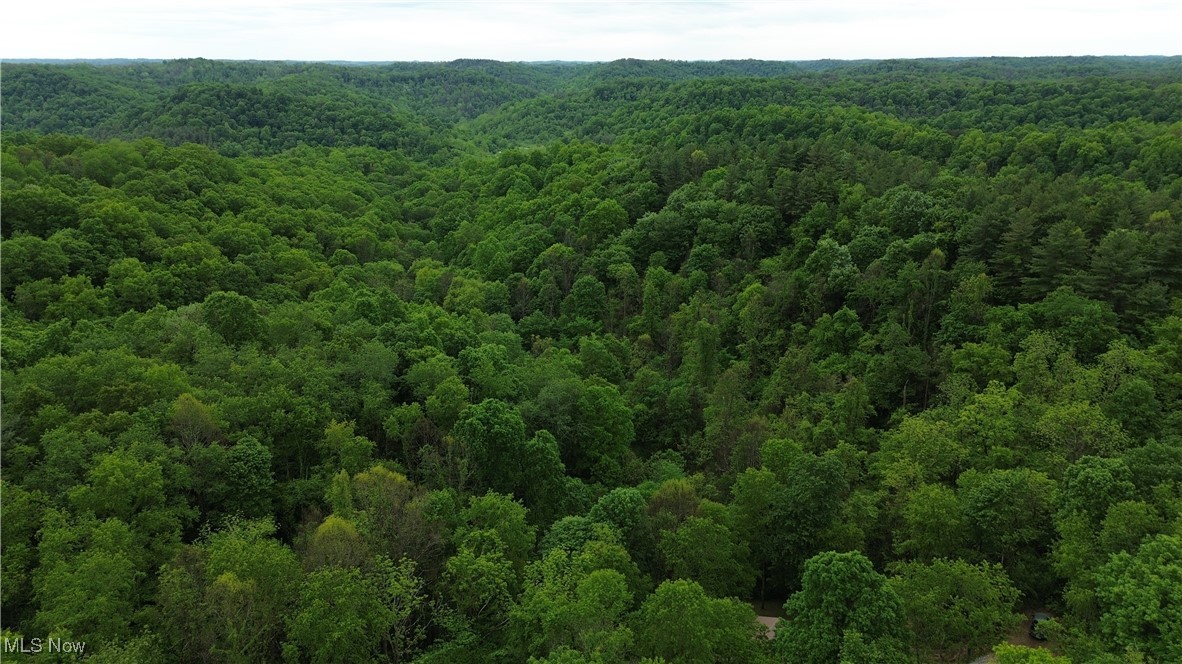 34215 Mt Hope Ridge Road, Graysville, Ohio image 19