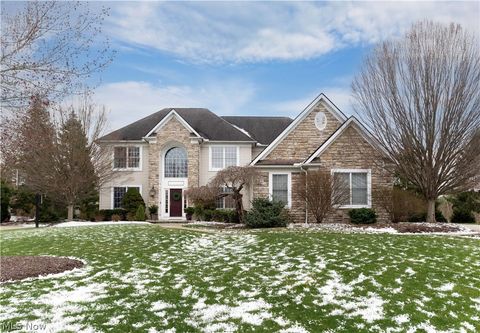 4307 S Fall Lake Drive Avon OH 44011