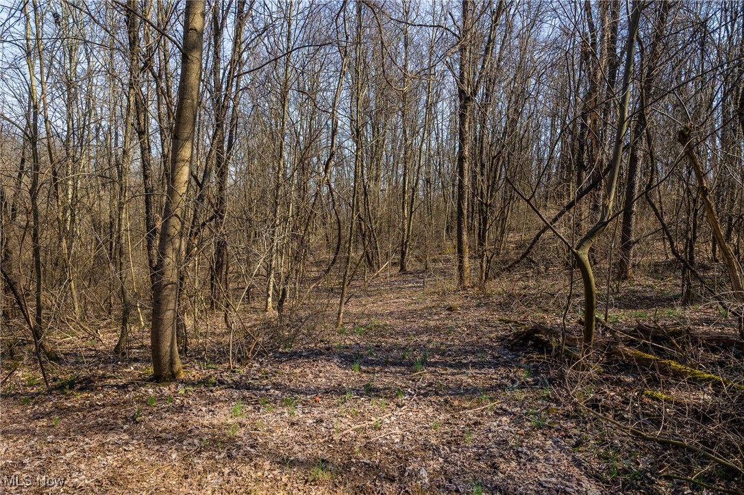 74184 Broadhead Road, Kimbolton, Ohio image 47