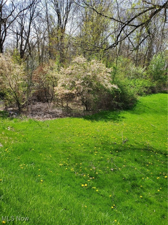 Wooded 1.69 acres with stream on the south side of Washington Street in Auburn Township across the street from Auburn Lakes Subdivision. Adjacent 1.6 acre parcel on the east side available. Address for GPS purposes only.
