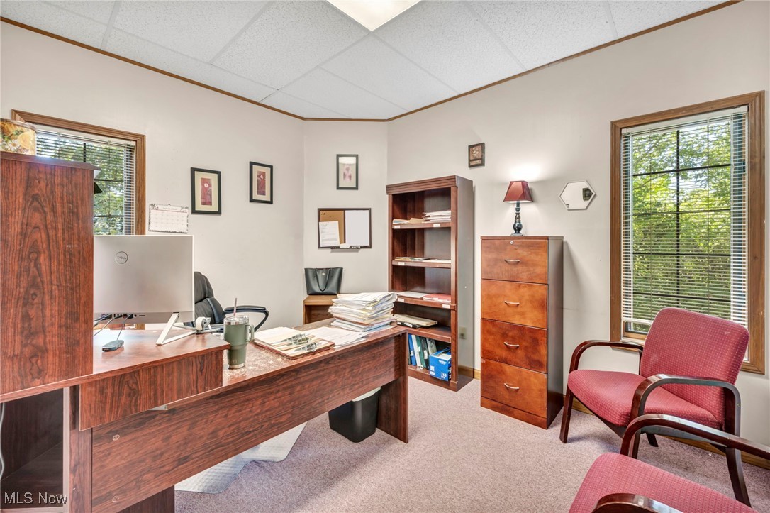 Coventry 11 - Commercial Sale