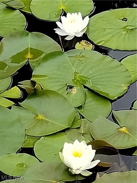 Penfield Sec 06 - Residential