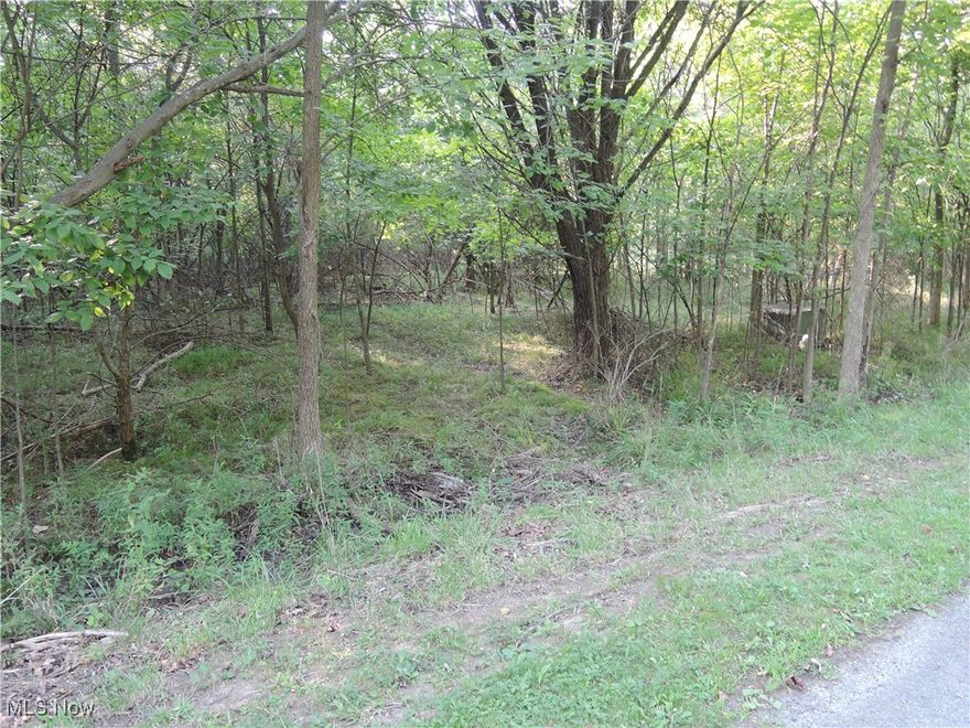 Build your dream home....beautiful wooded lot in private circular development with public utilities and ready for your luxurious custom home!! Easy access to highways and shopping