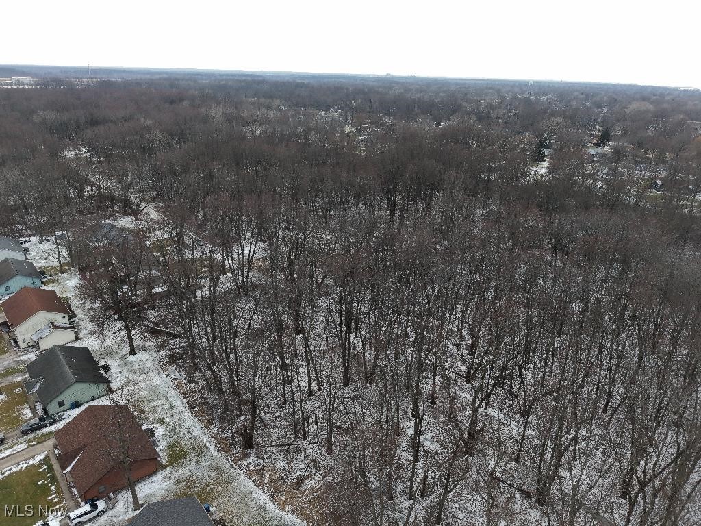 Mapleview Avenue, Sheffield Lake, Ohio image 2