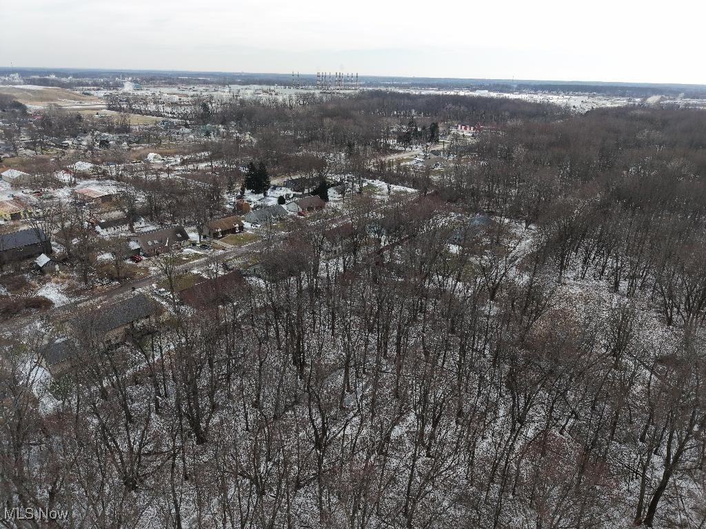 Mapleview Avenue, Sheffield Lake, Ohio image 4