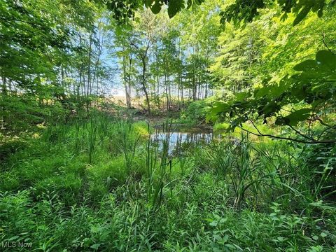 Vacant Land For Sale - 1393 State Route 13<br/> Perry County, Crooksville, OH 43731