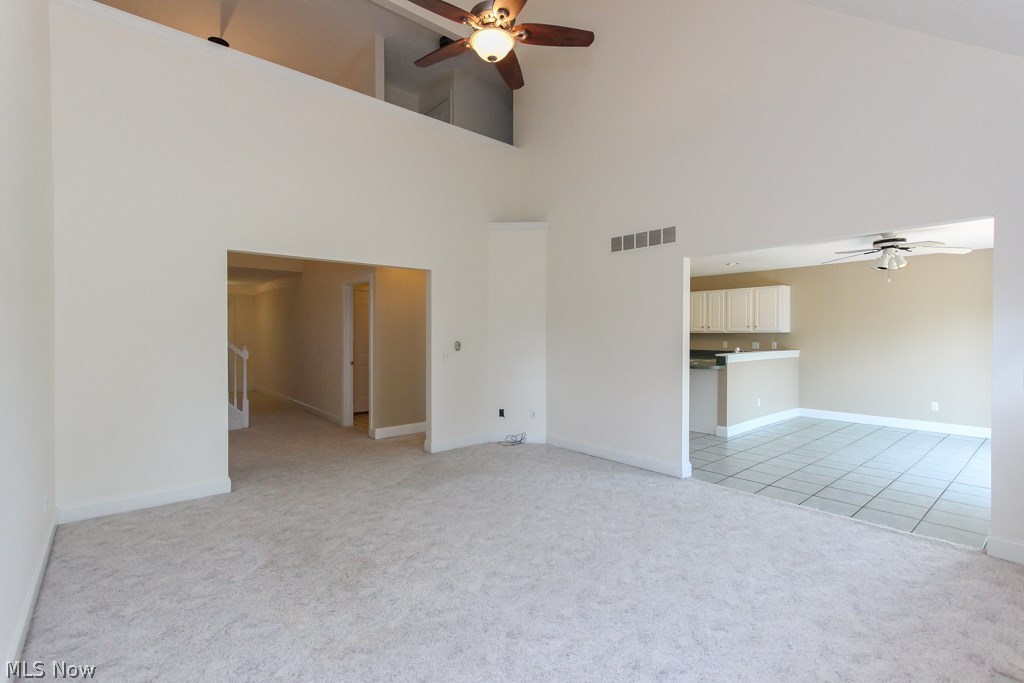 Medina Gardens On Lake - Residential