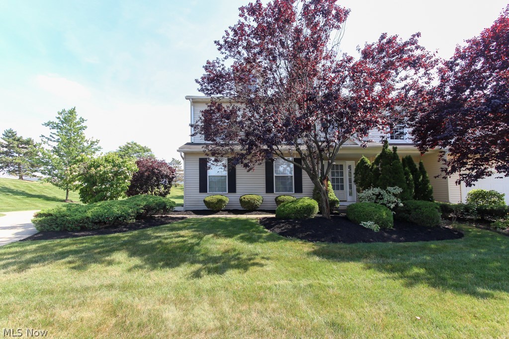 Medina Gardens On Lake - Residential